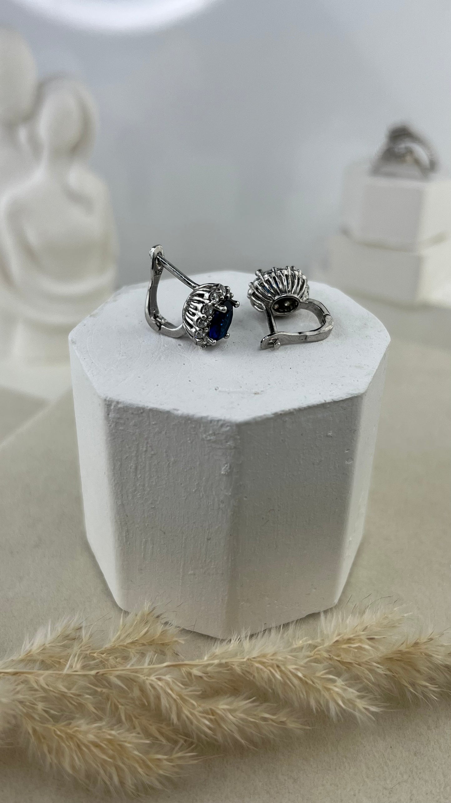 Earrings Zenith